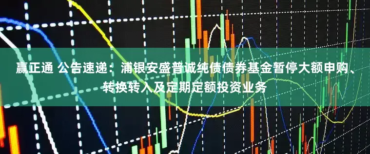 赢正通 公告速递：浦银安盛普诚纯债债券基金暂停大额申购、转换转入及定期定额投资业务