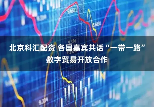 北京科汇配资 各国嘉宾共话“一带一路”数字贸易开放合作